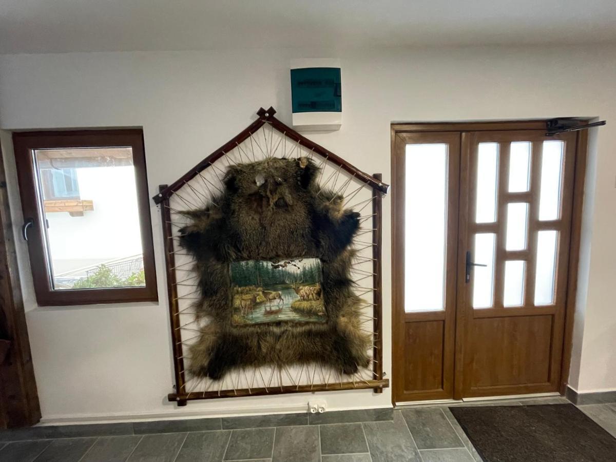Pensiunea Vis Alpin Beliş Εξωτερικό φωτογραφία